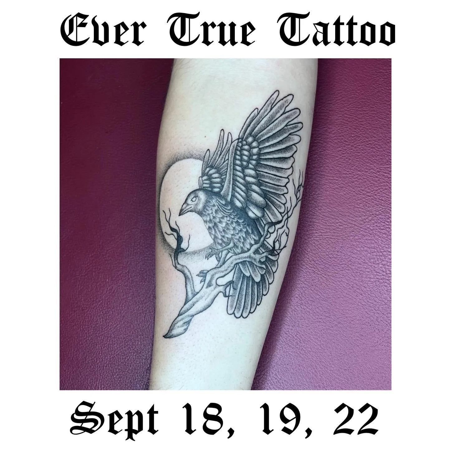 l&rsquo;m so excited to be tattooing in Portland this weekend and next Monday @evertruetattoo! I have a couple of slots left if you&rsquo;re feeling spontaneous, DM me to claim a slot. Thank you so much to everyone that&rsquo;s reached out so far!
Se