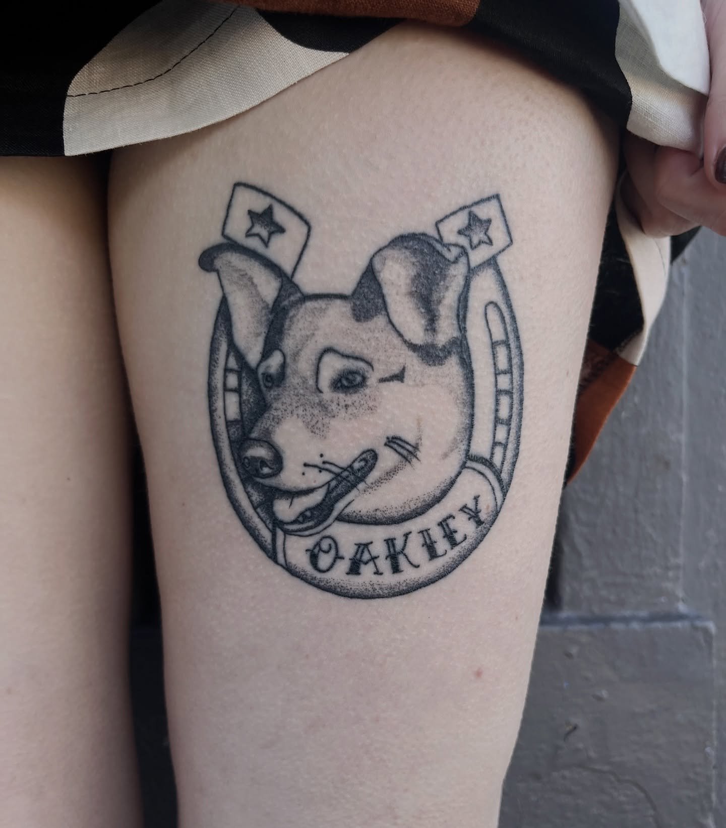 ❤️ Oakley ❤️
Oh man, this one&rsquo;s a hard one to type out. He was one of my favorite 🐶 to stop by Ghosttown. Cindy came in for her appointment and went home to her sweet Oakley. Later that same day he passed and walked across the rainbow bridge. 