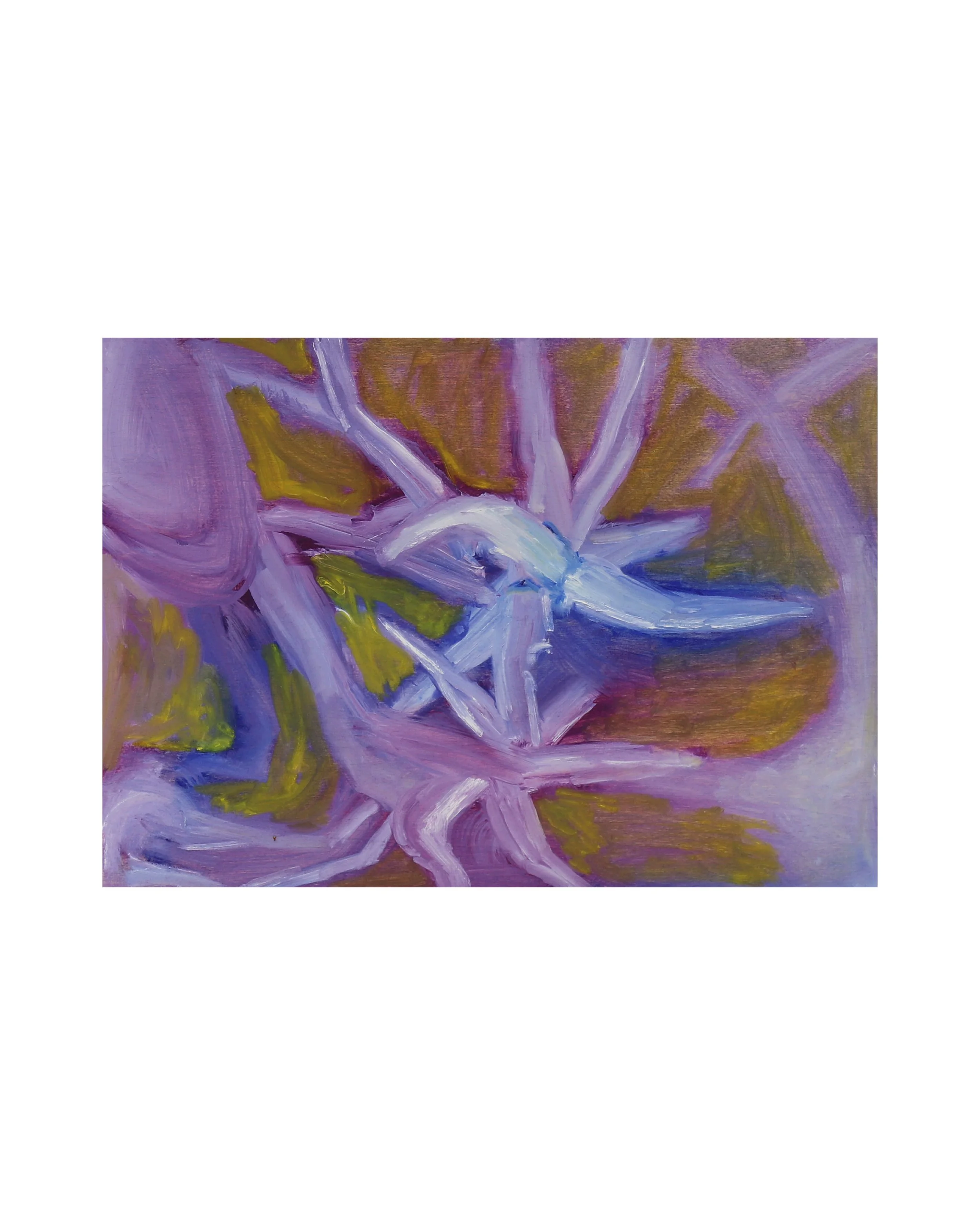 lav medium crop white.jpg