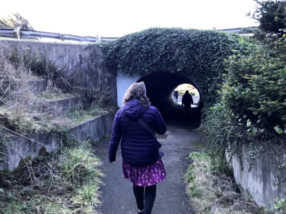 Episode 4 Why Did the Cat Cross the Road? — Will We Make It Out Alive?