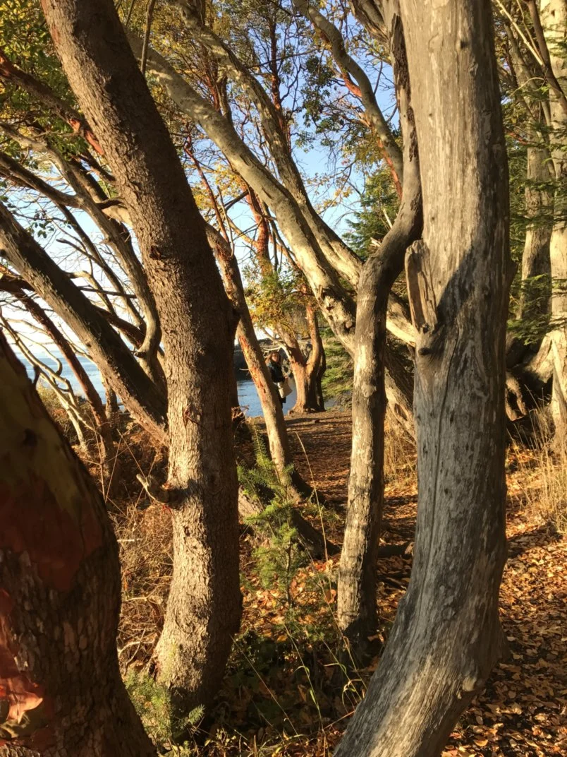 GIS Tool: Union Tool