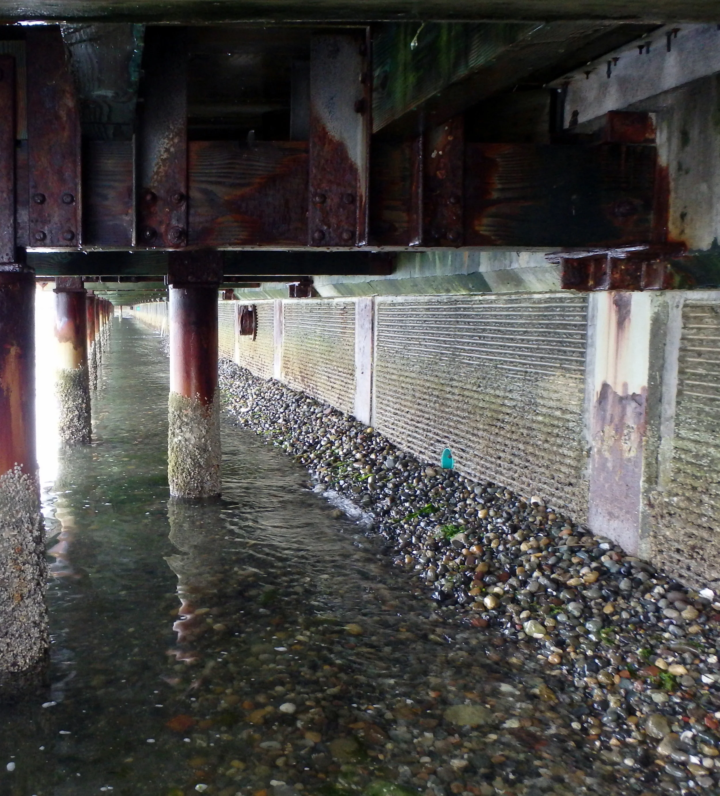 Episode 13: Knights of the Nearshore