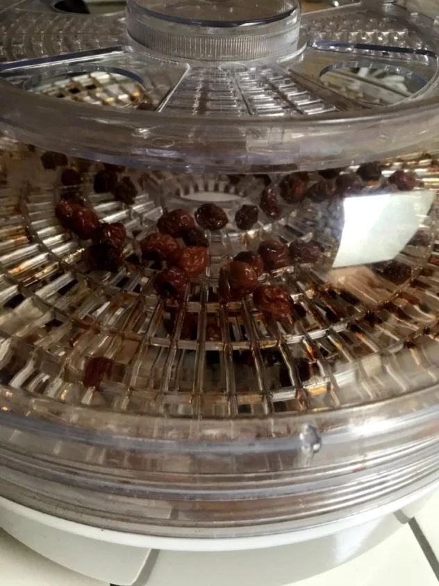 Jen’s Plastic Free July Update