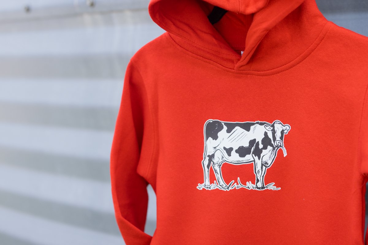 Toddler Graphic Hooded Sweater