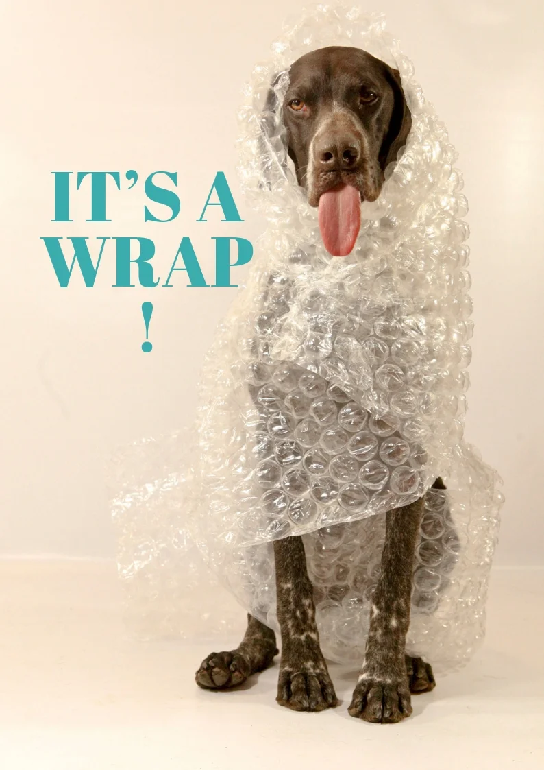 it’s a wrap!.jpg