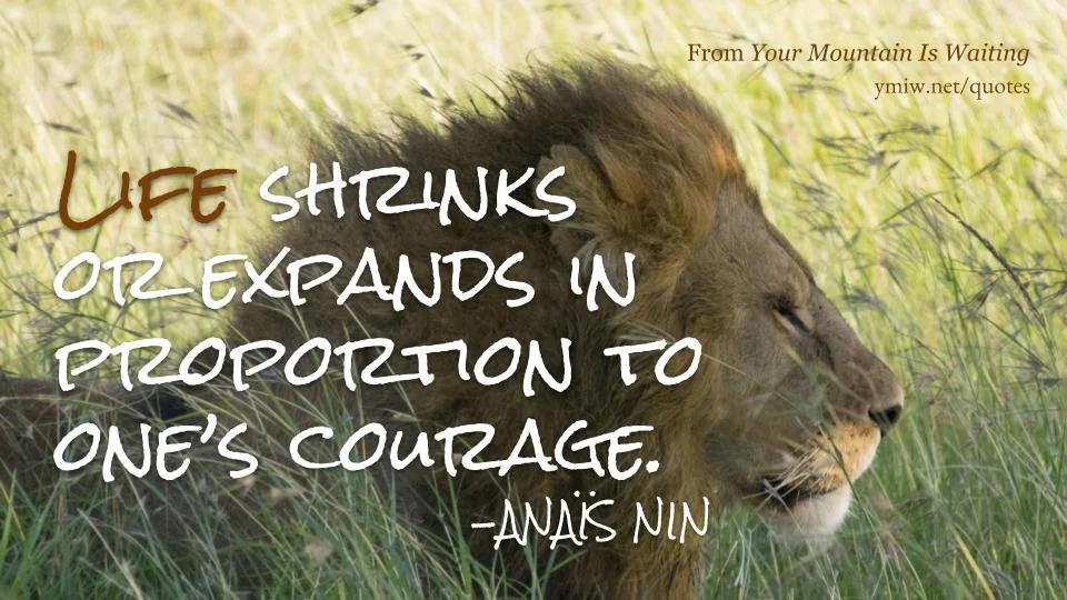 Quote - Courage