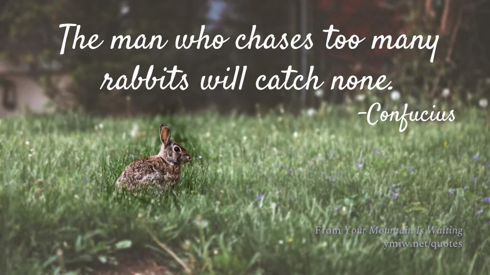 Quote - Don't Chase Too Many Rabbits
