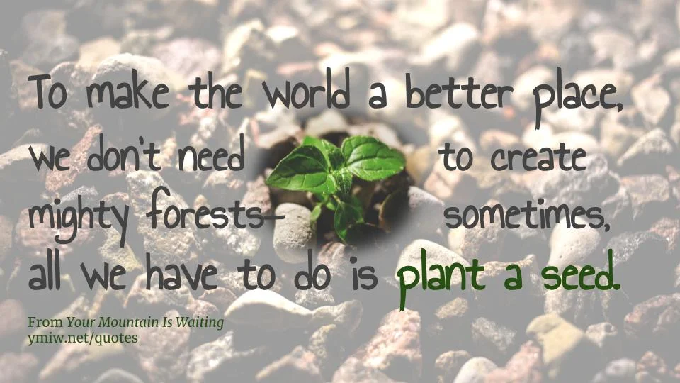 Quote - Plant a seed