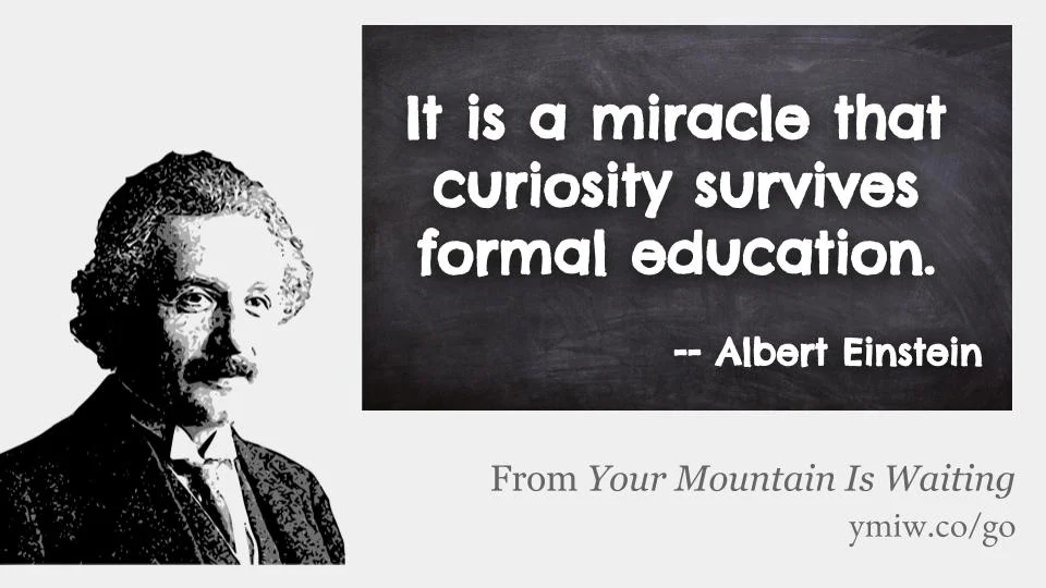 Quote - Curiosity vs Formal Education