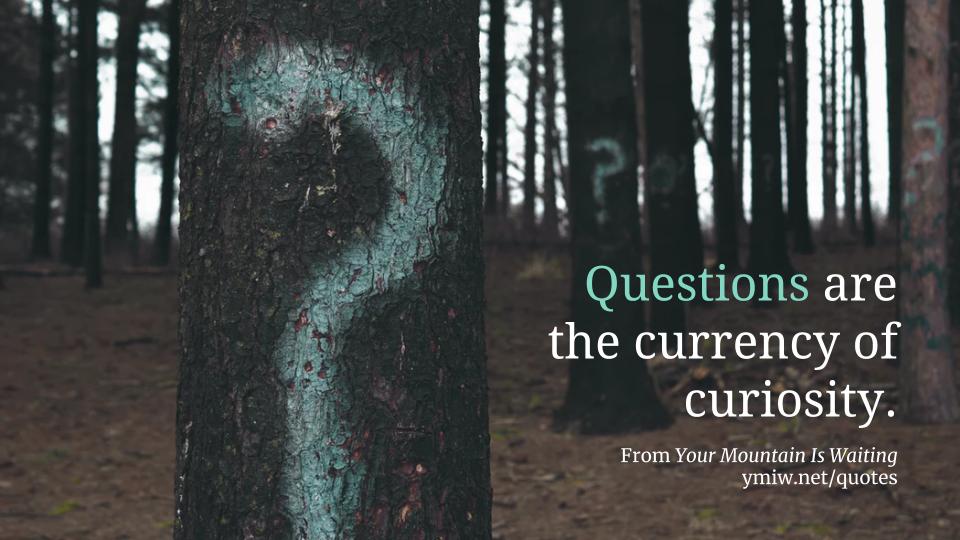 Quote - Curiosity