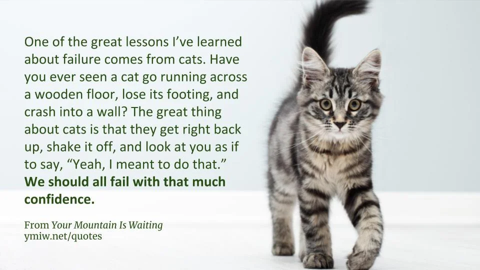 Quote - Failing With Confidence