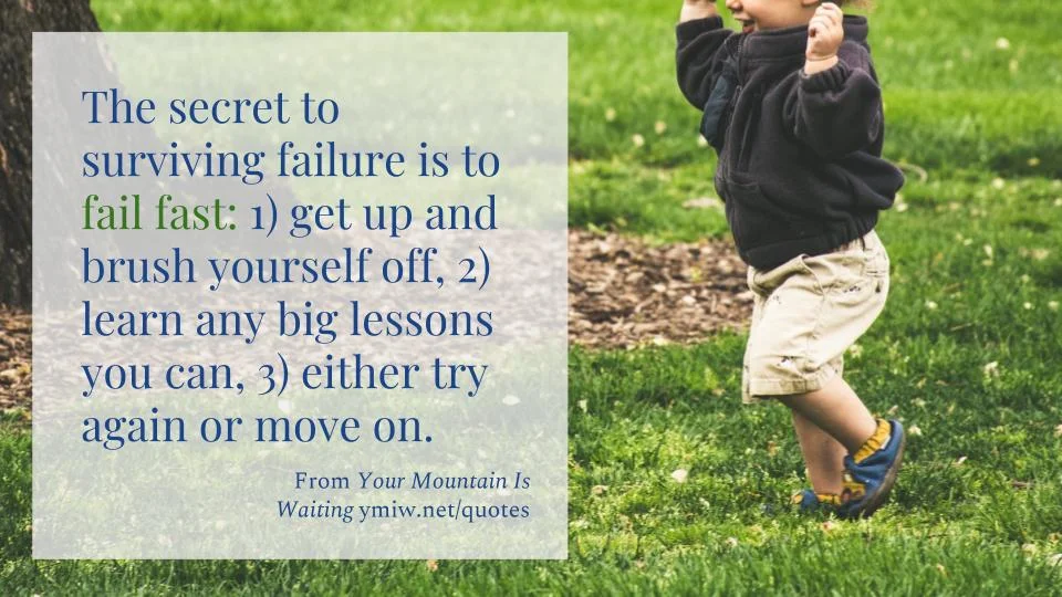 Quote - Surviving Failure