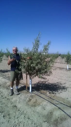 Tad Woody 6 month old almonds.jpg