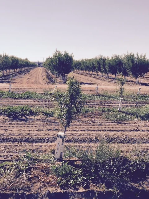 Woody Growth Difference Using WGS Oct 2015 copy.jpg