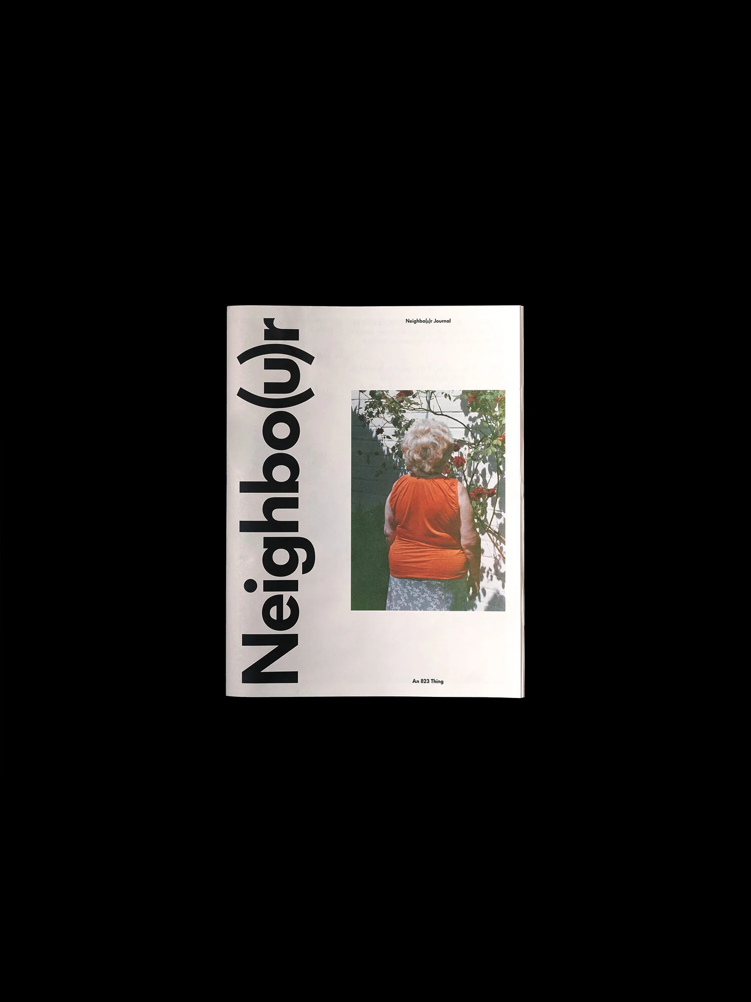 Neighbo(u)r | An 823 Thing