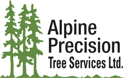 Alpine Precision