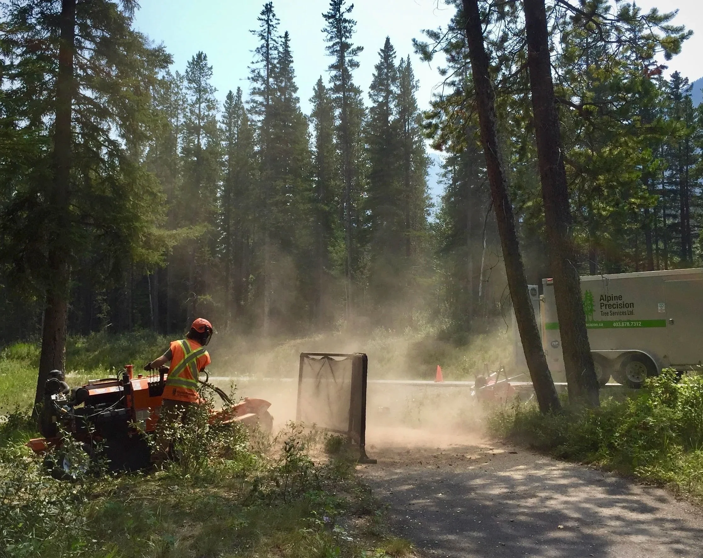 Alpine Precision crew completing FireSmart vegetation management in the Bow Valley