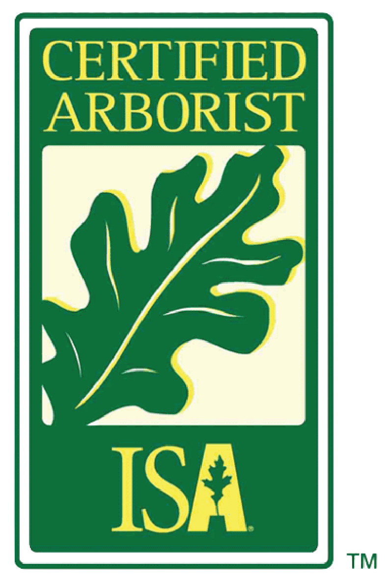 ISA Certified Arborist