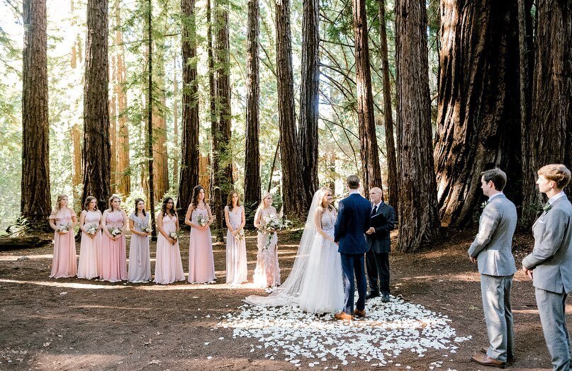 A&amp;M&rsquo;s stunning ceremony in the redwoods at the @santaluciapreserve , with perhaps one of my biggest wedding parties, 11 on each side, impeccably dressed&hellip; and ooooh the lucite ghost chairs amongst such a beautiful natural setting! ✨ @