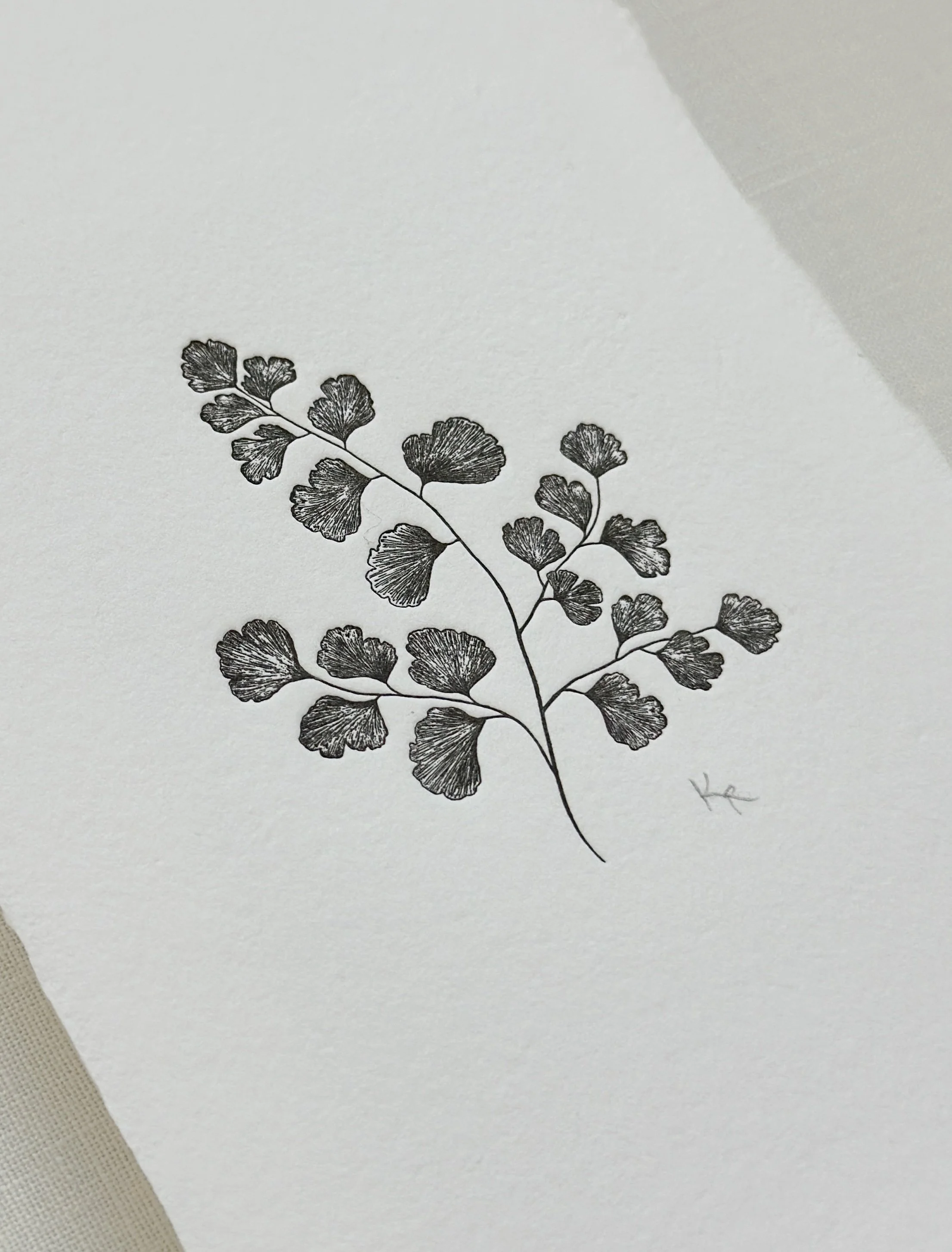 Maidenhair Fern - Black Ink