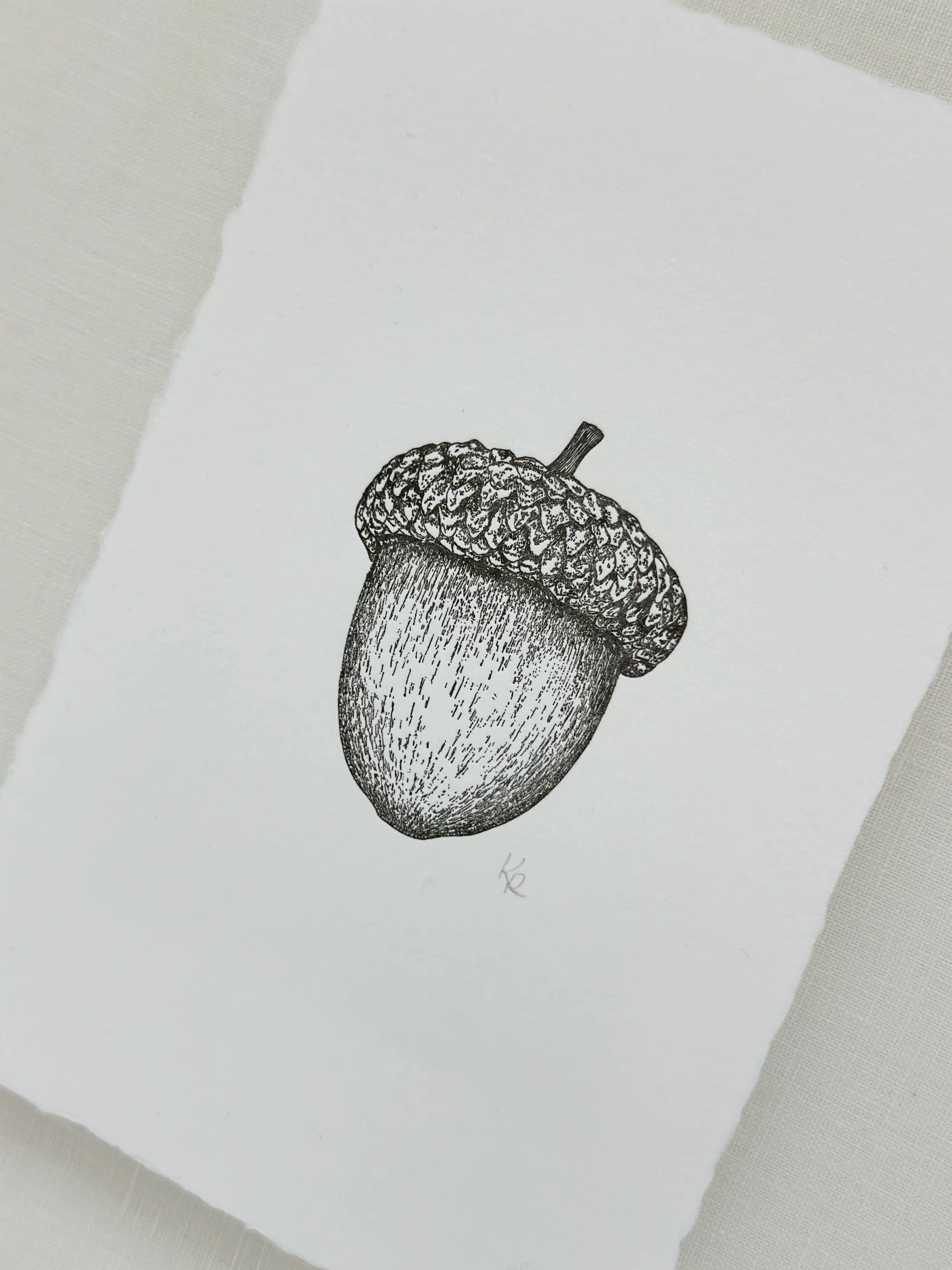 Acorn - Black Ink