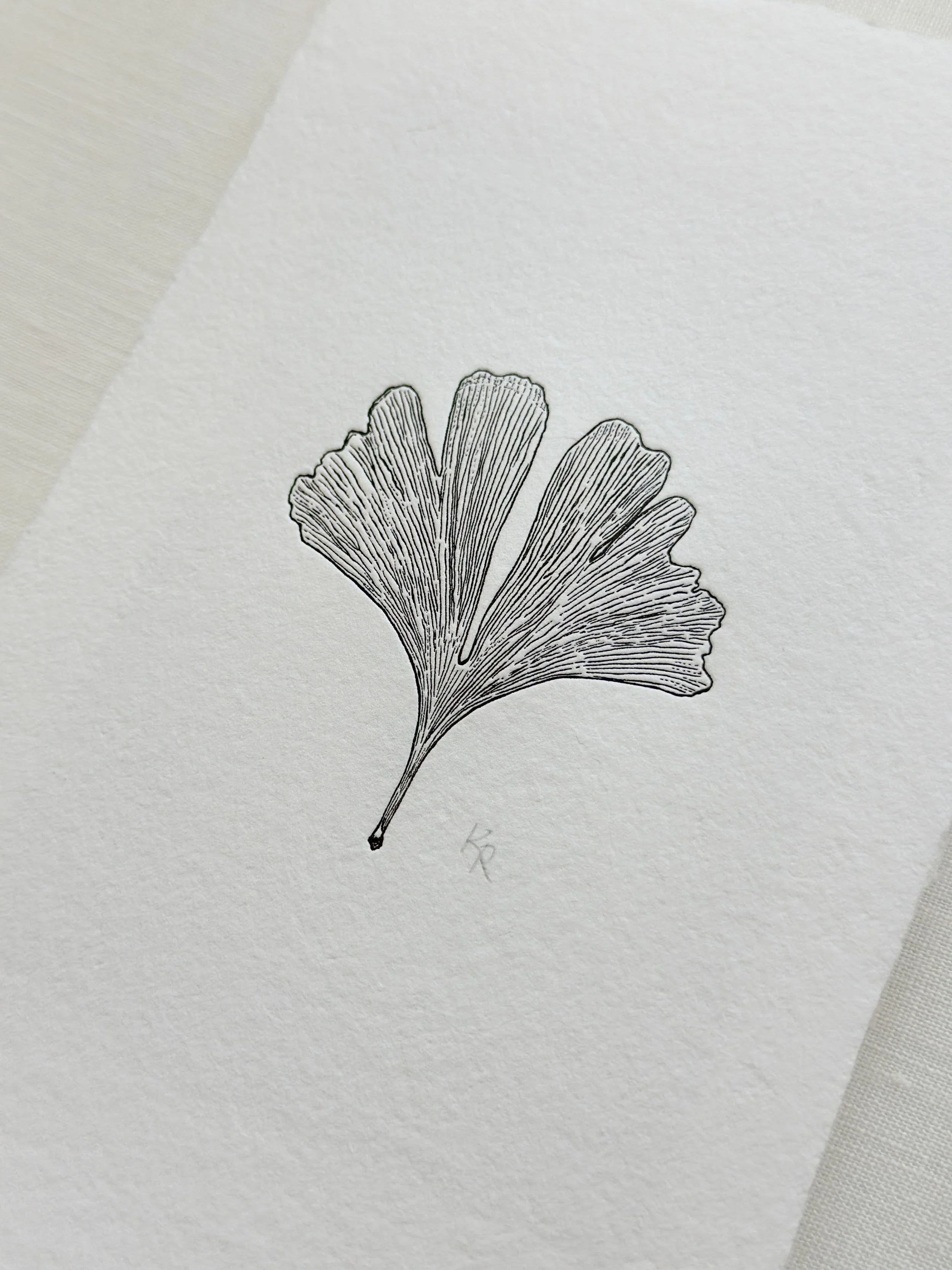 Ginkgo - Black Ink