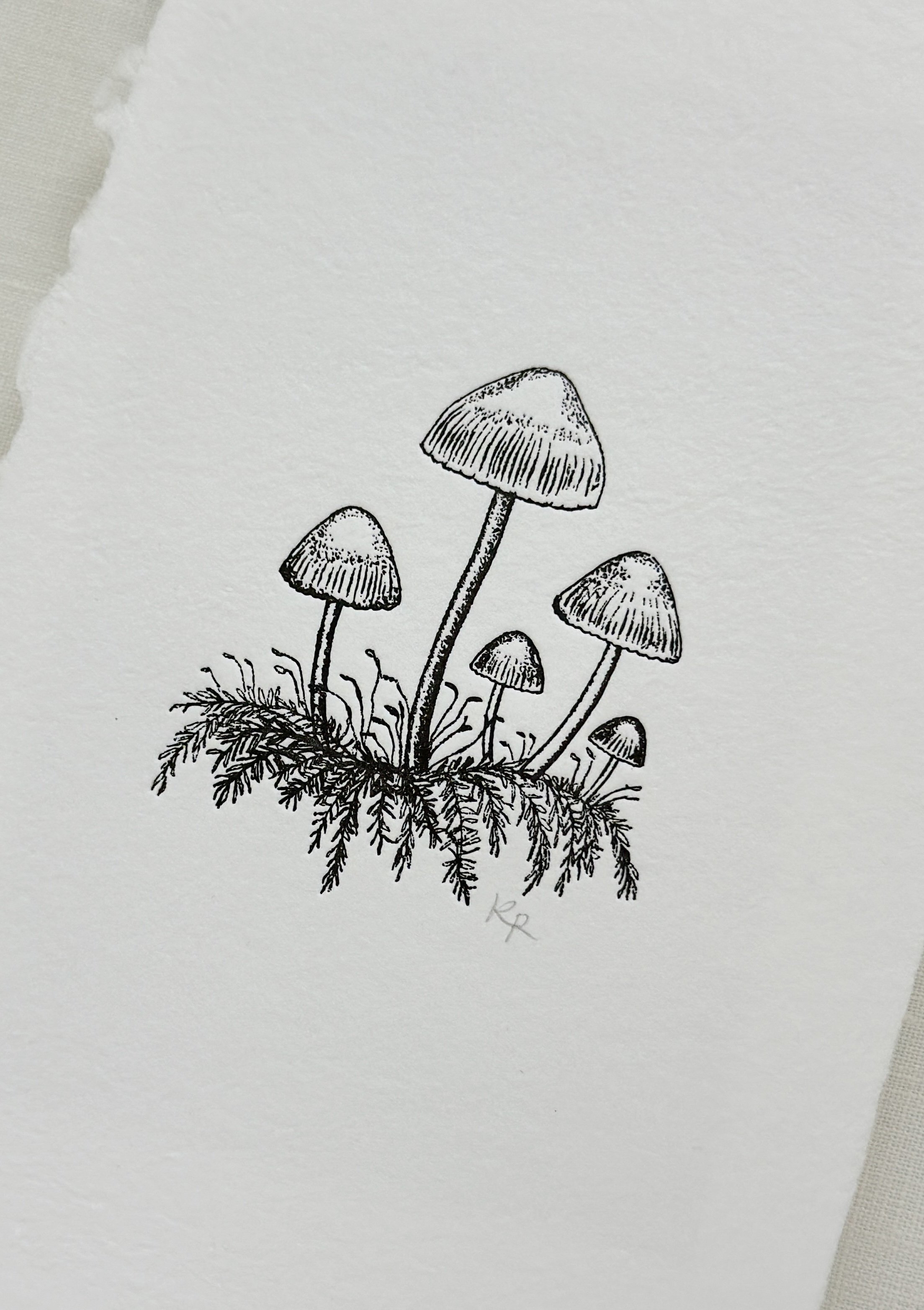 Mushrooms - Black Ink