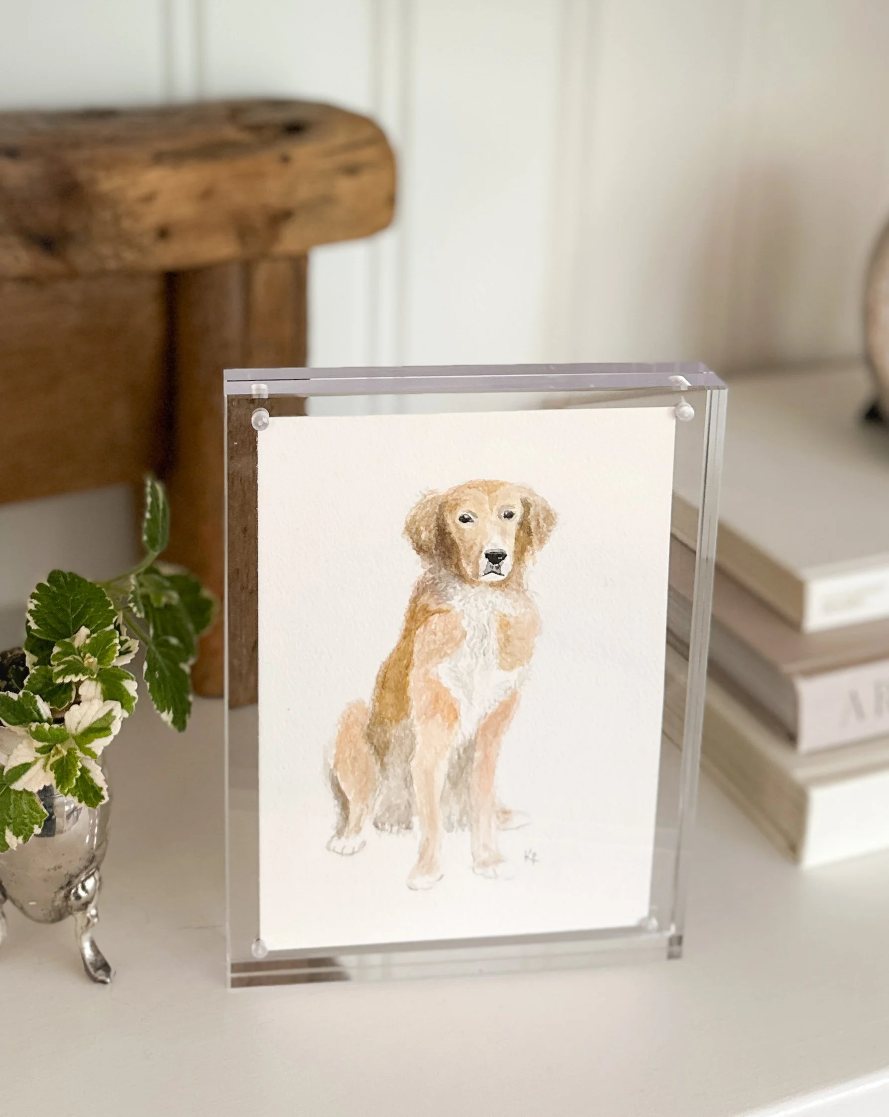 Pet Portrait Commission