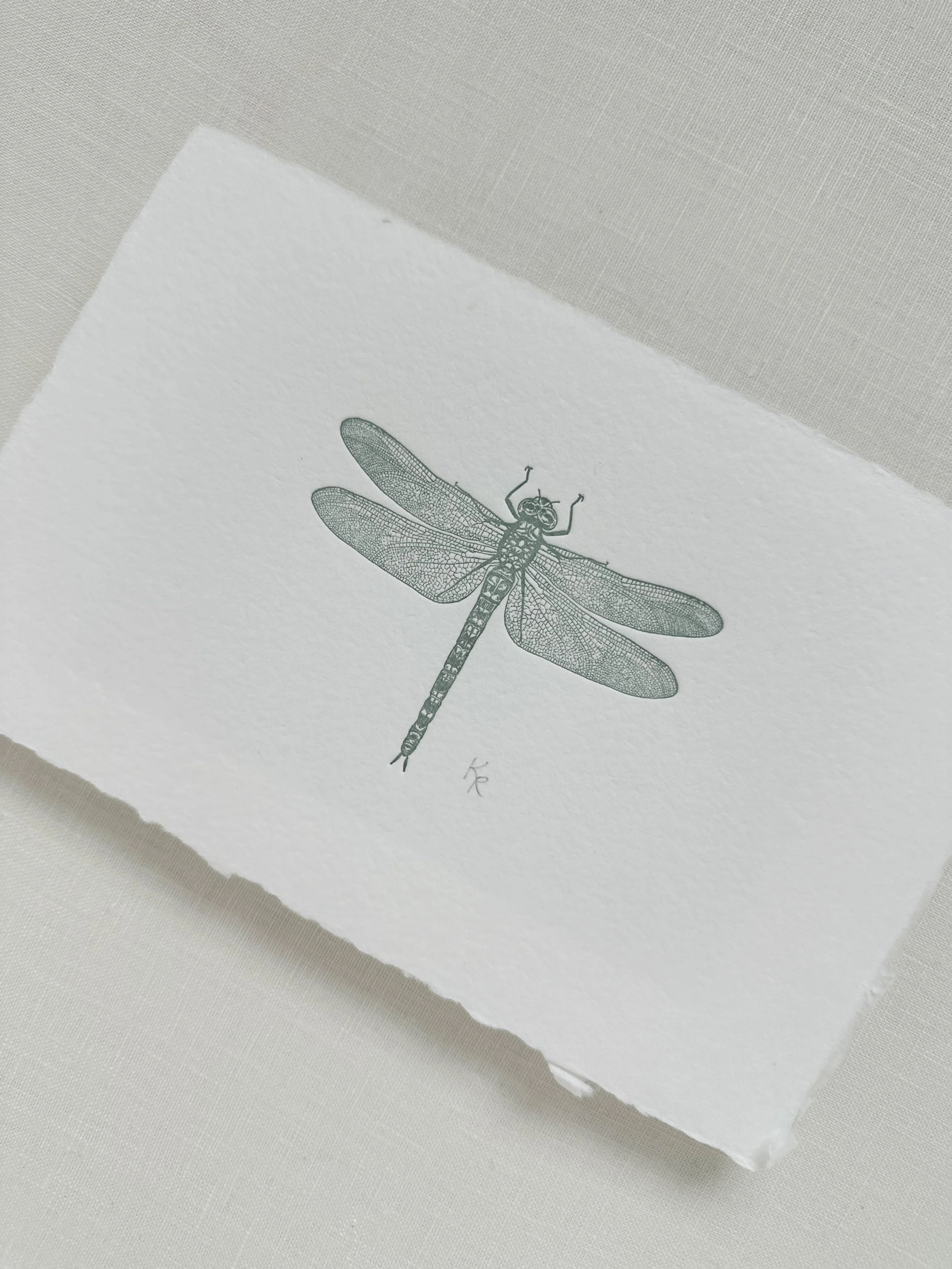 Dragonfly - Sage Ink