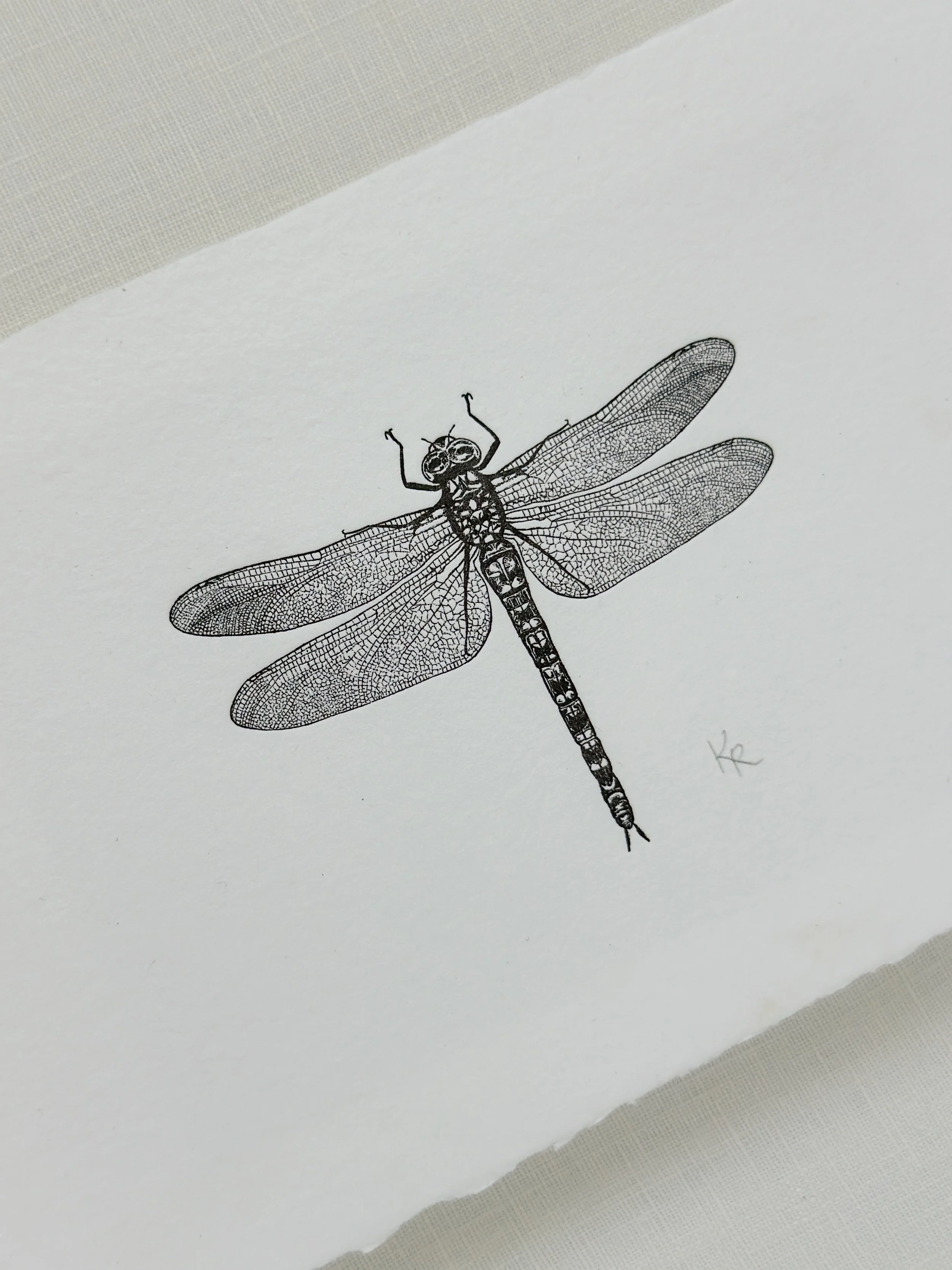 Dragonfly - Black Ink