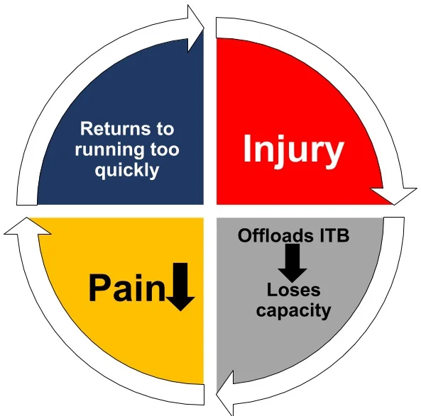 Figure 3: Cycle of loss of load capacity