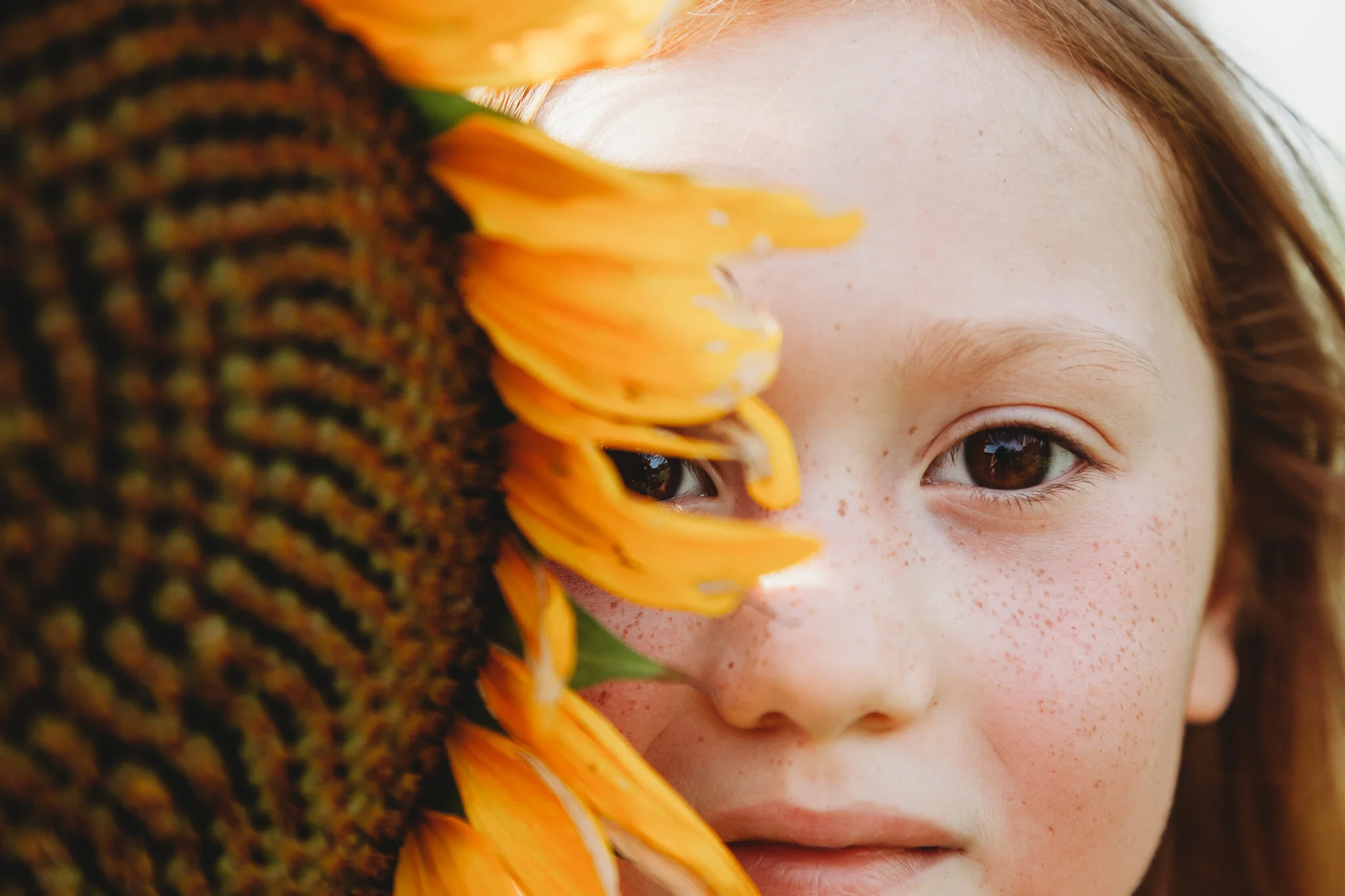 2019_SummerBreak_SunflowerC.jpg