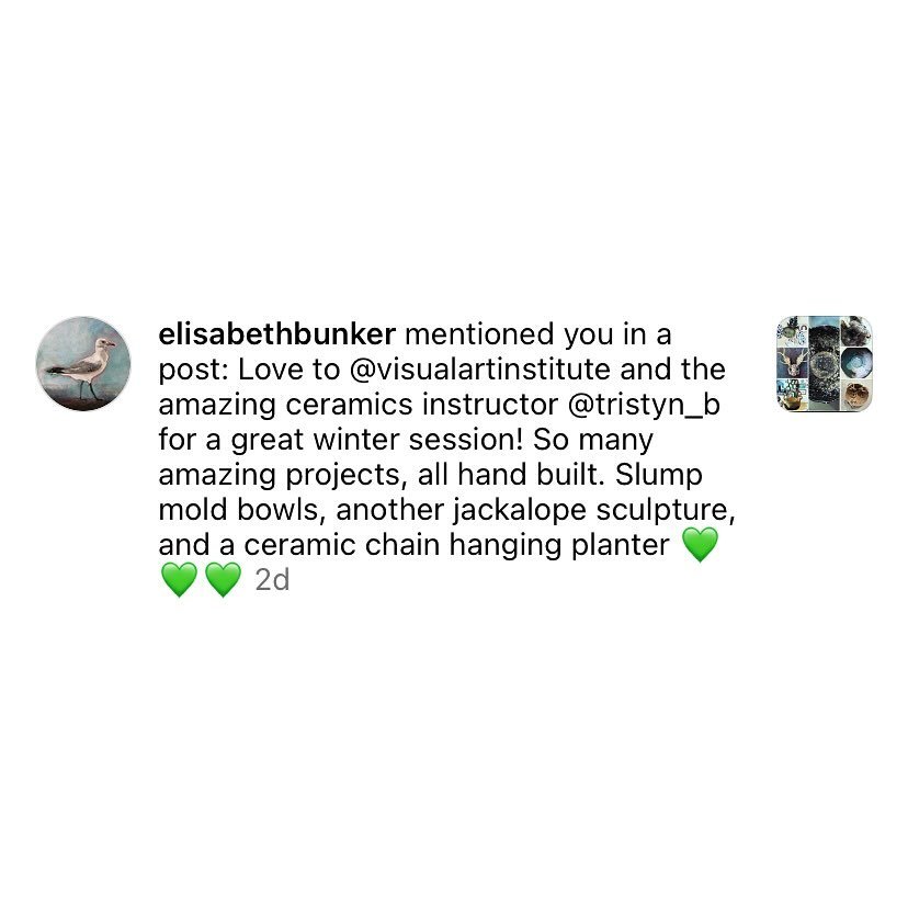 We love having @elisabethbunker in our ceramics studio! She loves hand-building with clay and has made some really cool pieces over the past few months 🌱✨

So excited to see what you make next, Elisabeth! 

#visualartinstitute #vai #utahartclasses #