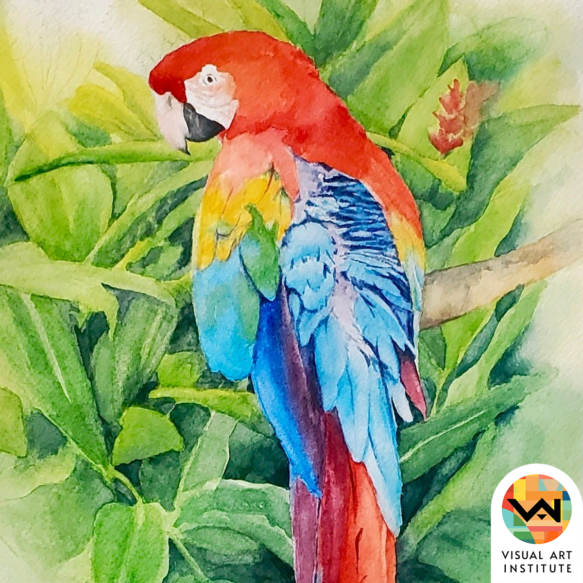 watercolor 2.png