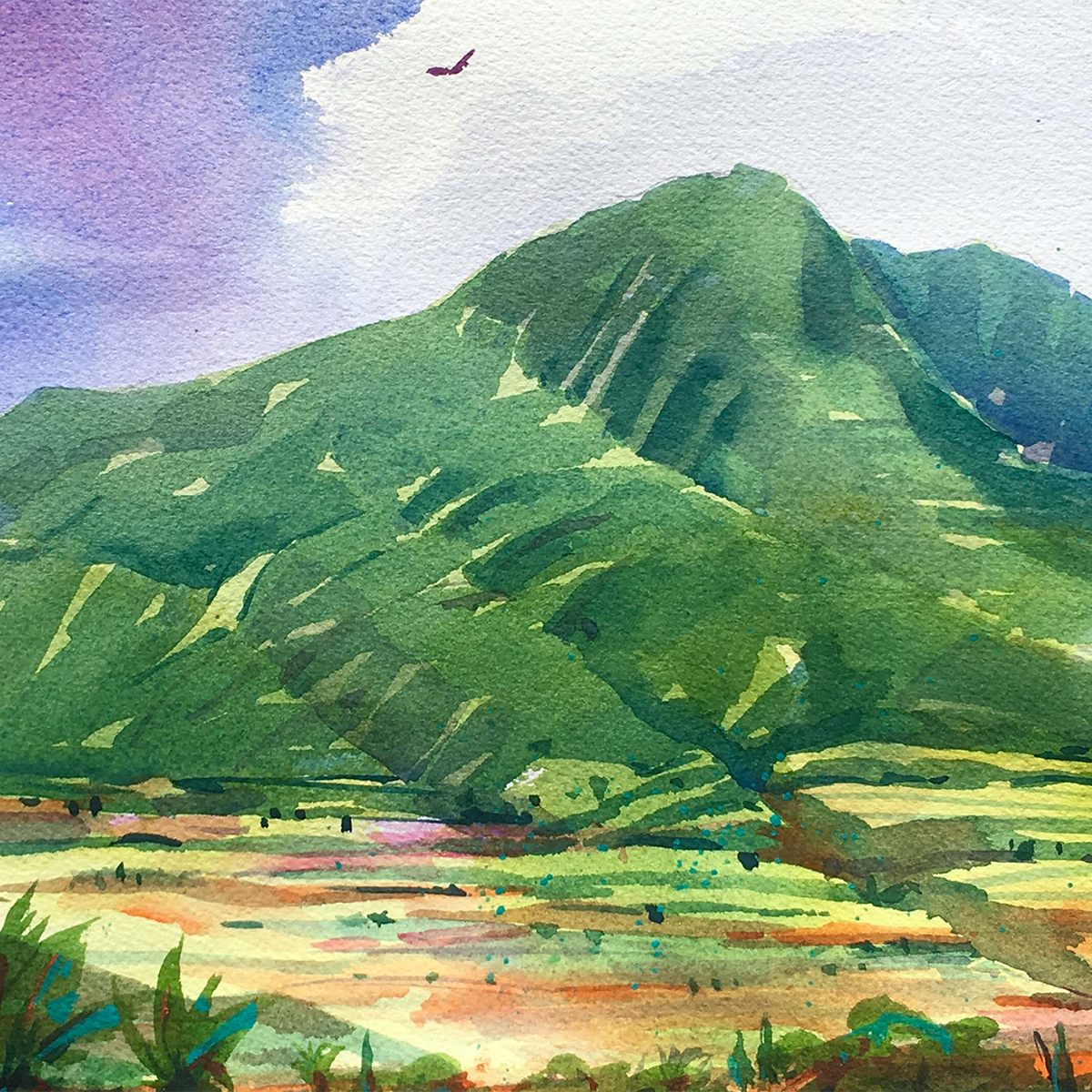 Watercolor: Intermediate to Advanced (mornings)