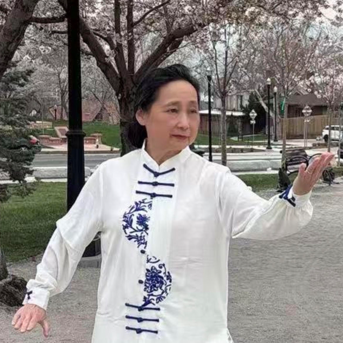 Tai Chi for Beginners