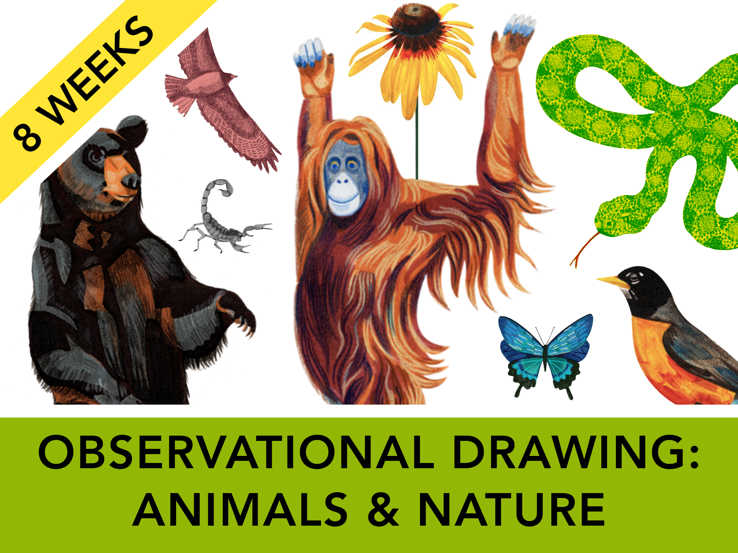 WEDNESDAYS 10am-12pm (age 12+)