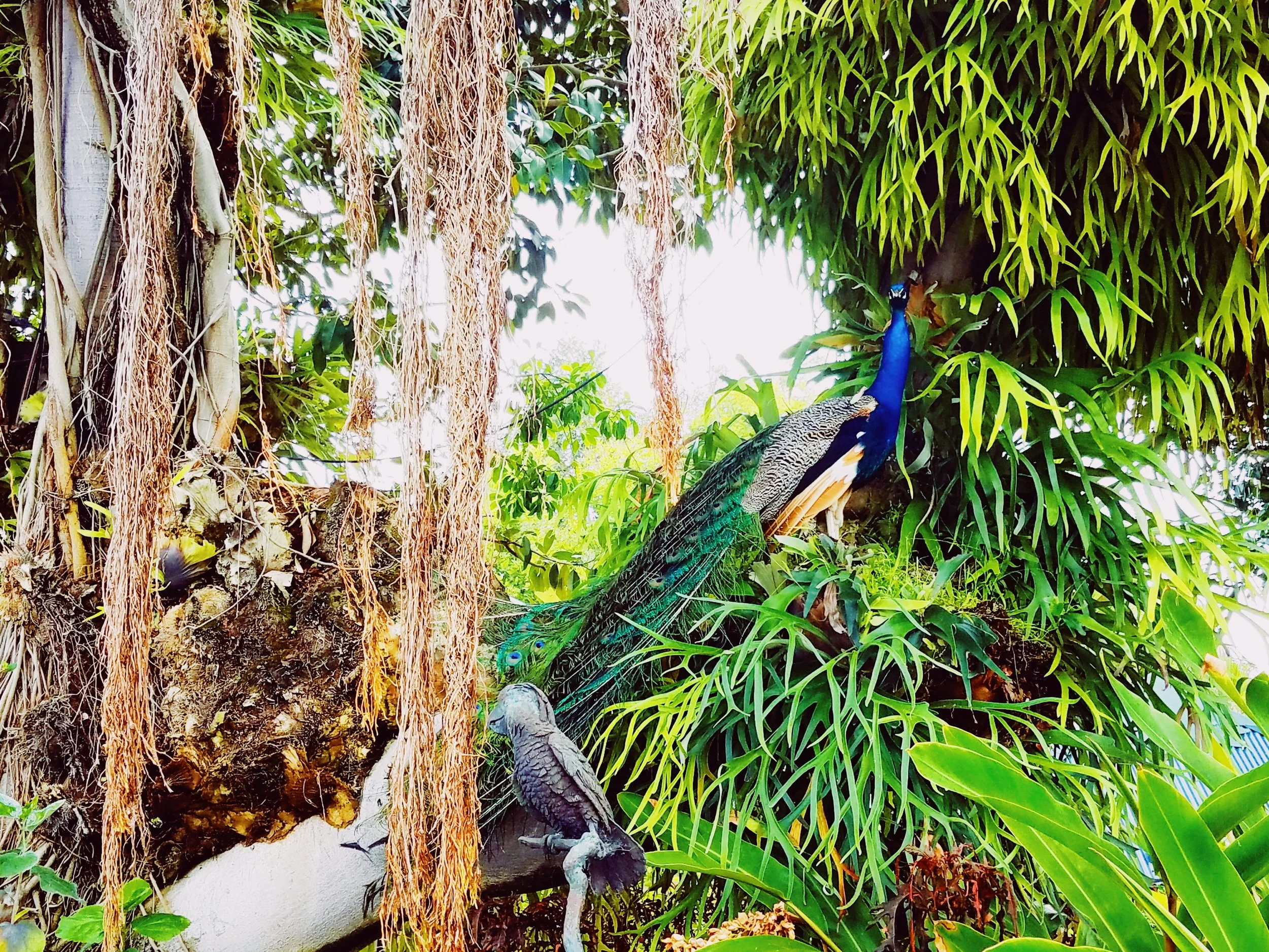 2018-05-18 11.29.20 2.jpg