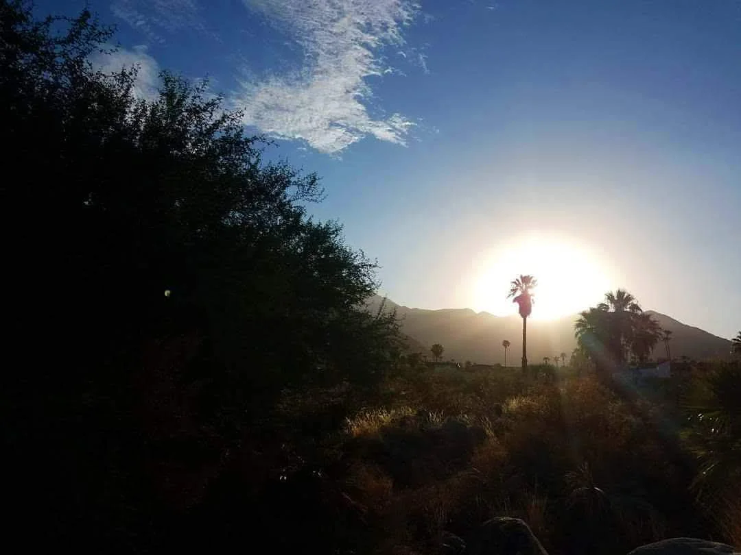 2018-05-17 10.56.32 1.jpg