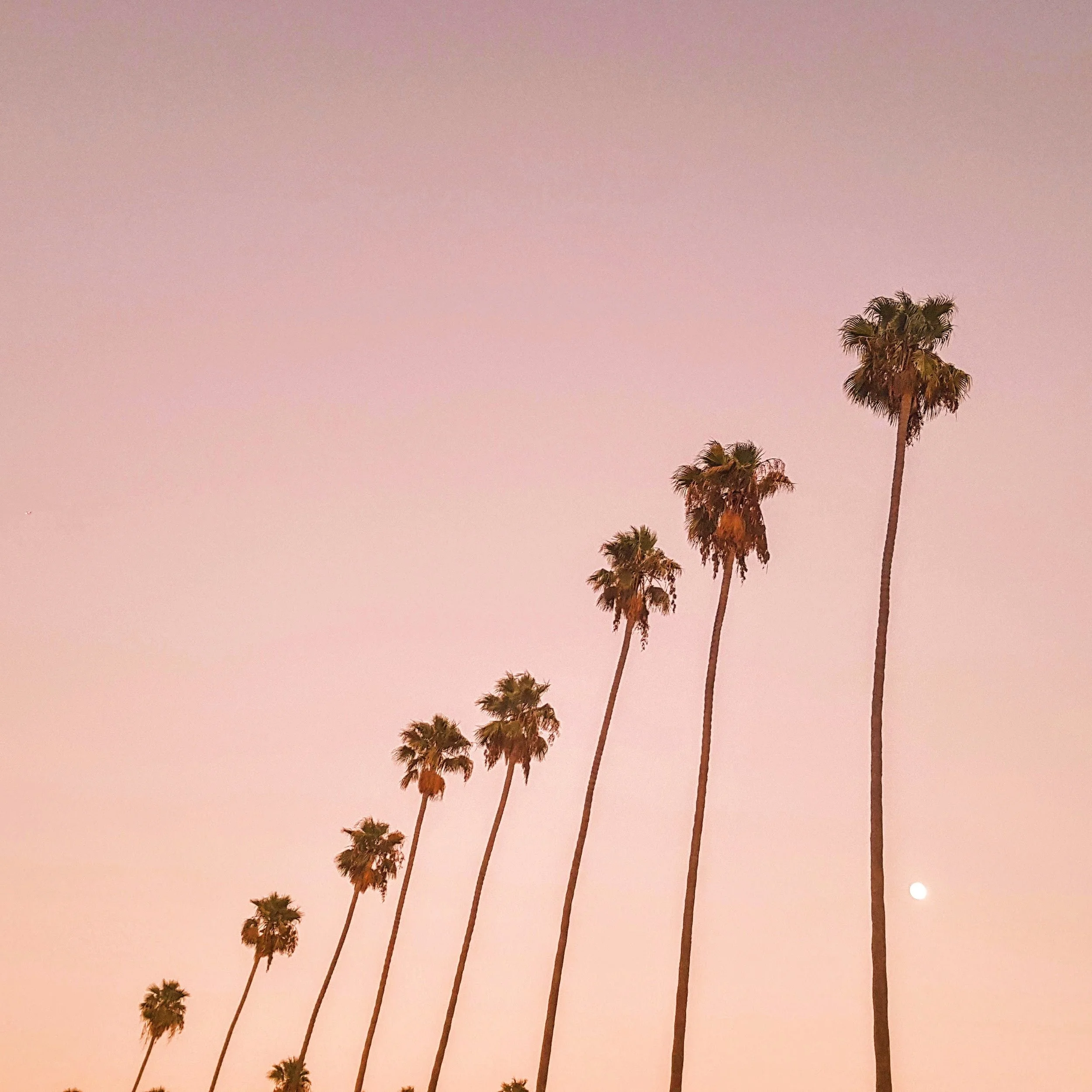 2018-05-18 04.12.35 1.jpg