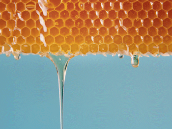 HoneyDrip.gif