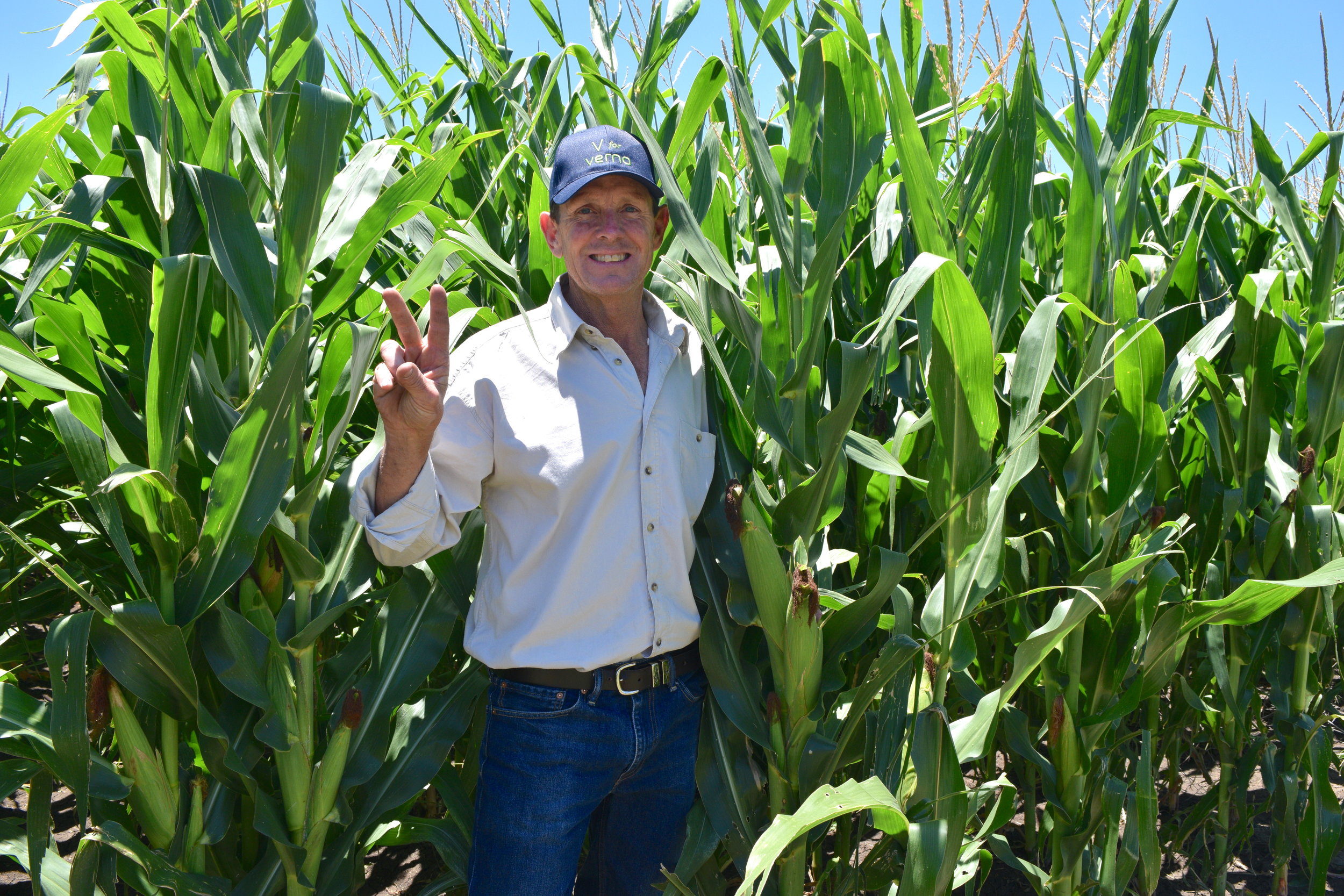 V for Verno Corn Field.jpg