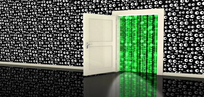 backdoor.jpg