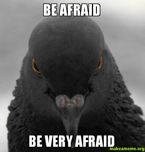 It’s your turn to be afraid