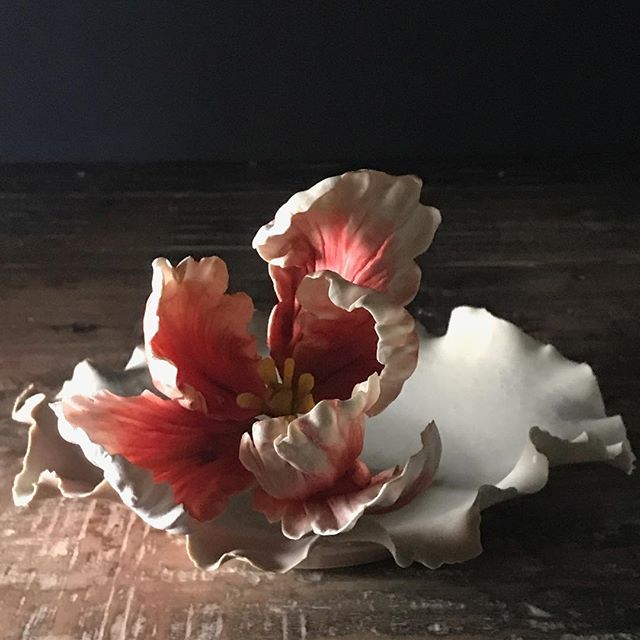 More magic working with photographer @deborahjaffe ...
#sugartulip 
#gumpasteflowers #cakedecorating #sugarart  #sugardahlia #sugarpeony #sugarroses #artismagic