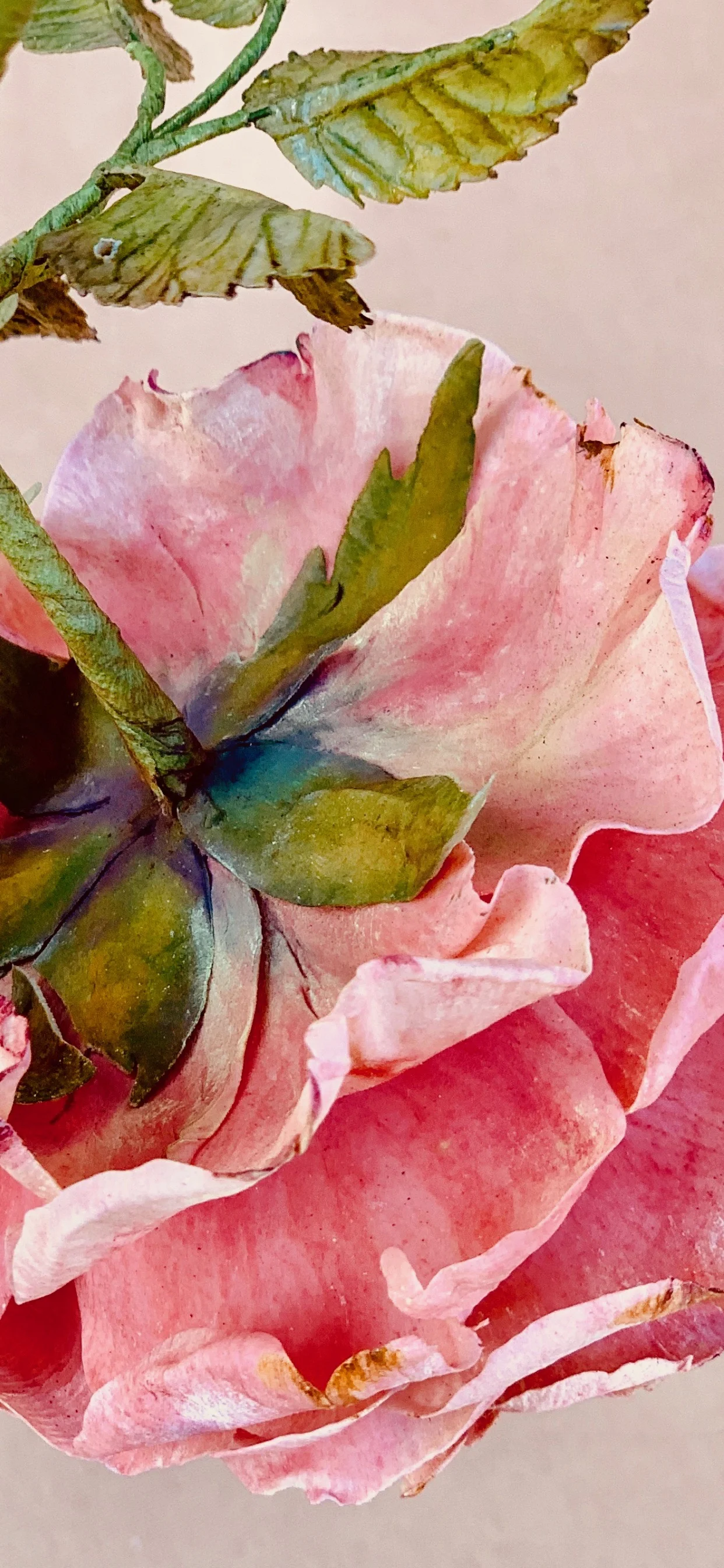 Photo by Deborah Jaffe (@deborahjaffe)