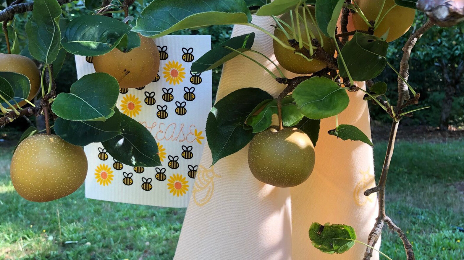 chalet-in-the-woods-pears-and-tea-towel.jpg