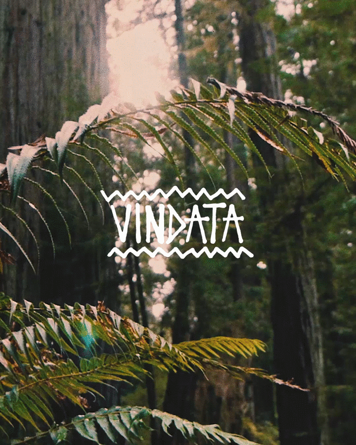 redo_vindata forrest.gif