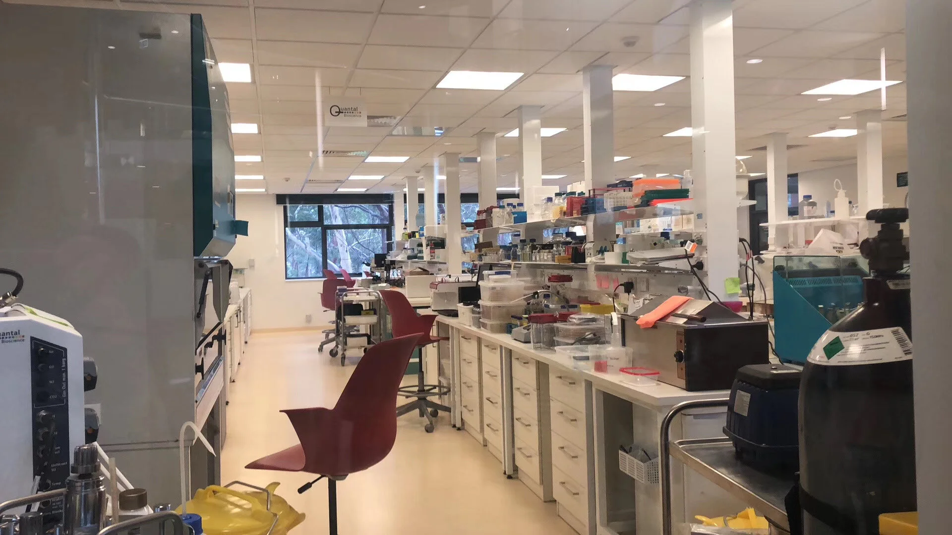 2020年02月07日 The Kings School 实验室