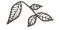 _0005_Layer-93.png